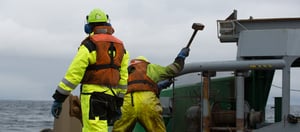 8BB4EA4185FC436181E744805F34636D